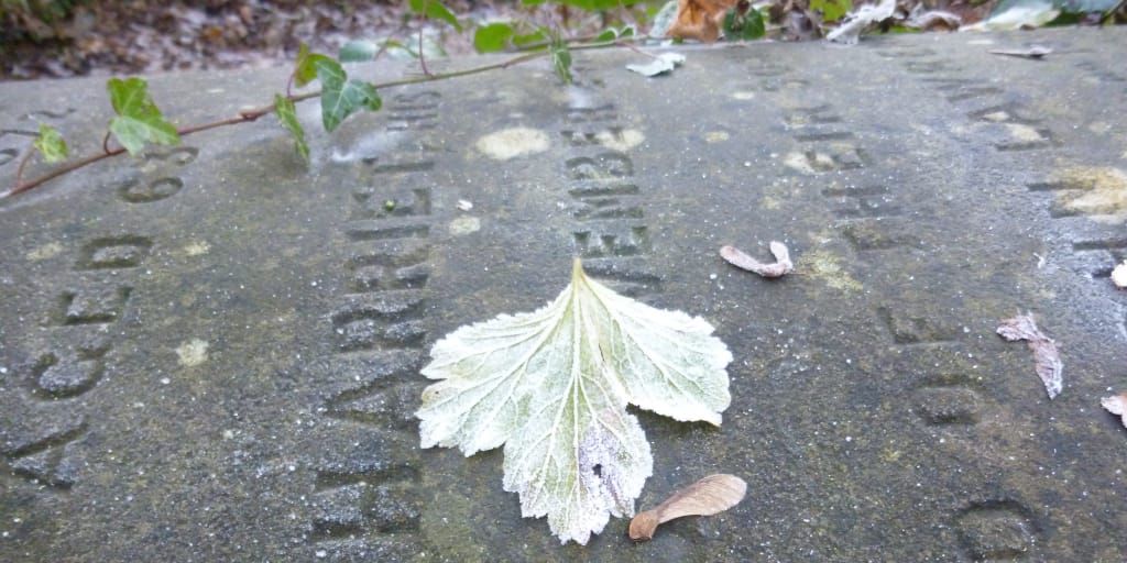 Soulling. Photo by Judy Darley. Shows an old tomb with frosted leaves.