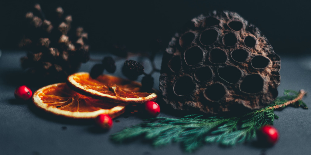 A Segment from the Life of Dr Orange. Photo by Anna Popović on Unsplash. Shows festive slices of orange.