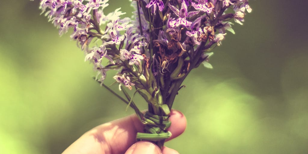 Blossoms. Photo by Hello I'm Nik on Unsplash. Show hand holding a small posy of flowers.