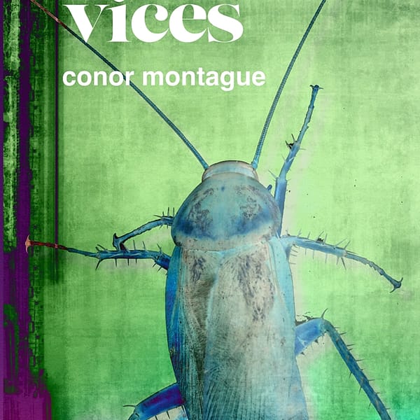 Capital Vices by Conor Montague